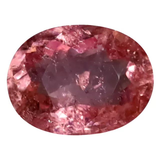 1.17 CT Joli Coupe Ovale (8 X 6 MM ) Mozambique Rose Tourmaline Gemmes