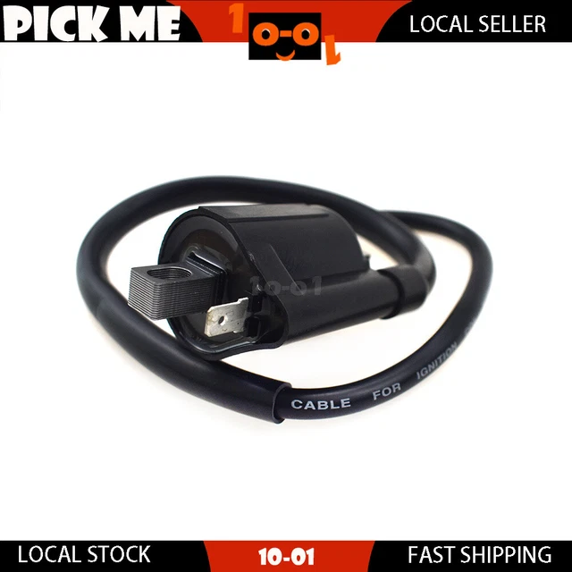 New Ignition Coil Fit Quadzilla ATV Buzz 2K 2013 2014