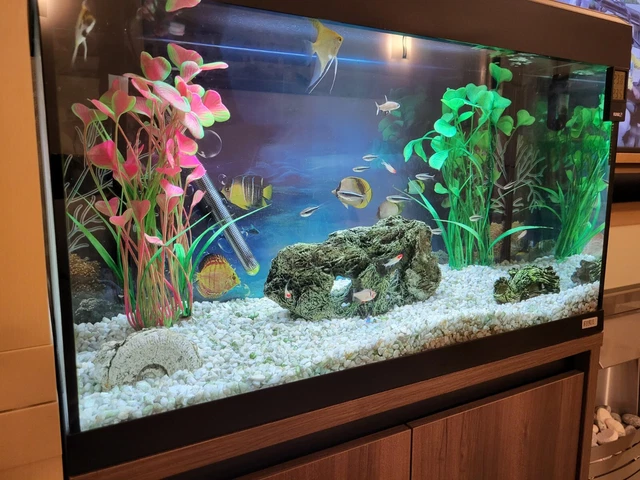 Used Fluval Roma 125 Aquarium Fish Tank with Cabinet 2