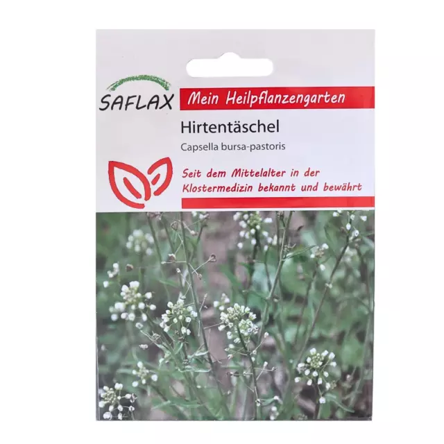 Hirtentäschel - Heilpflanzen Saatgut - 1000 Samen - Capsella bursa-pastoris