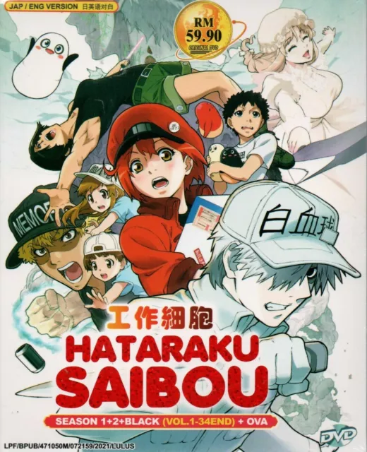 ANIME DVD~ENGLISH DUBBED~Hataraku Maou-sama!! Season 1+2(1-37End