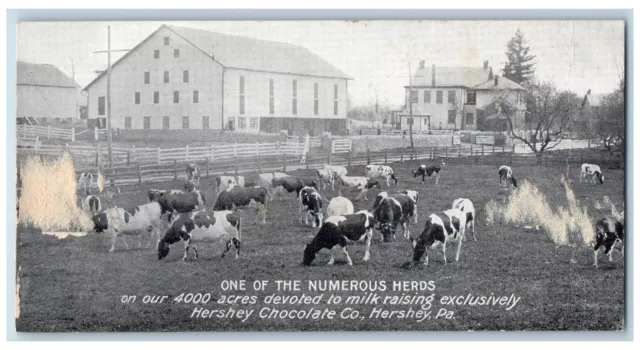 c1910 Numerous Herds Farm Hershey Chocolate Co. Hershey Pennsylvania PA Postcard