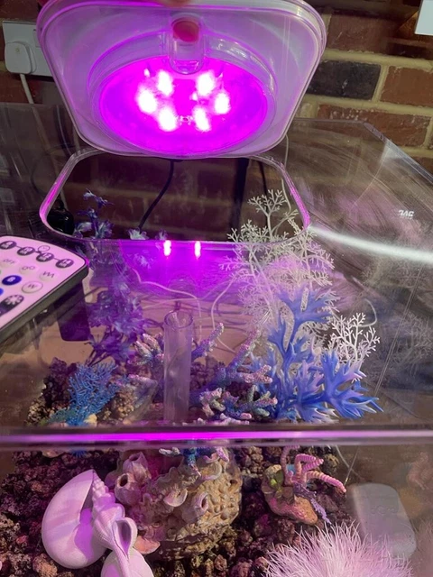 BiOrb CUBE 60L Complete Aquarium Fish Tank MCR LED - Clear 9
