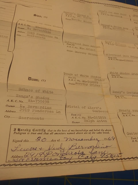 Lot of 14 Vintage Papers Documents Receipts Etc. 1930s 40s 50s War Ration Book 20
