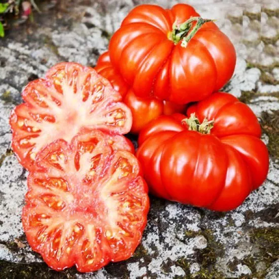 Beefsteak Tomatoes 100 seeds