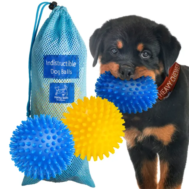 Indestructible Dog Toys for Aggressive Chewers - Squeaky Dog Ball Indestructible