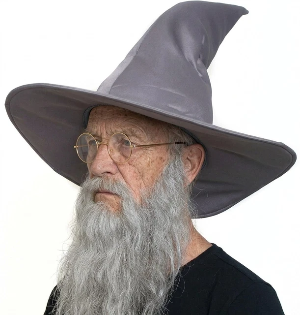 CLASSIC WIZARD SORCERER Merlin Gandalf Wire Brim Adult Costume Hat Grey ...