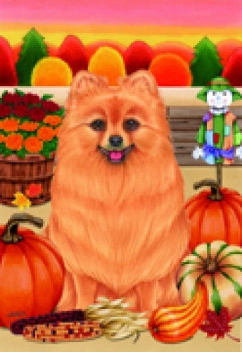 Autumn (TP) Garden Flag - Pomeranian 67013