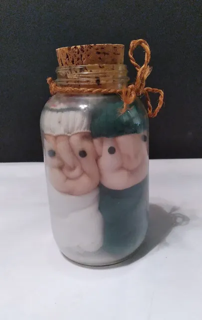 Vintage Weird & Strange Pickled People Glass Jar Nylon Pantyhose Couple 1978