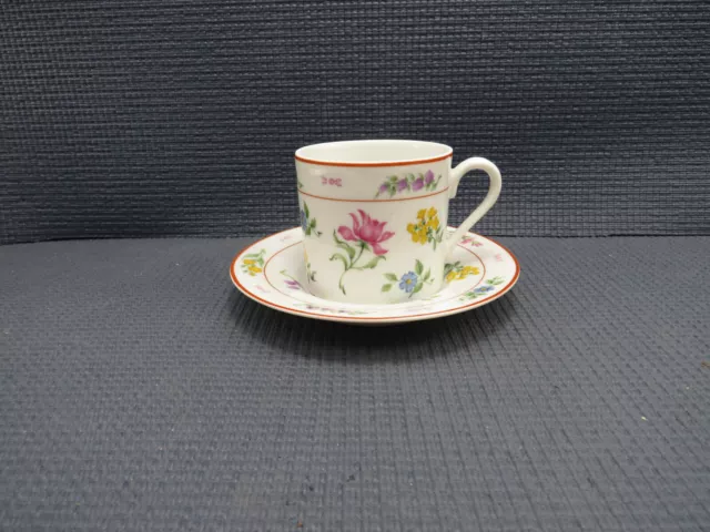 Georges Briard Dinnerware Floral Fantasy Pattern Cup & Saucer Set