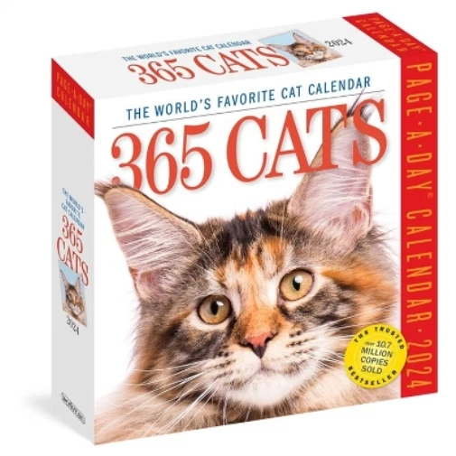 Workman calendars 365 cats page a day calendar 2024 calendar eur 17