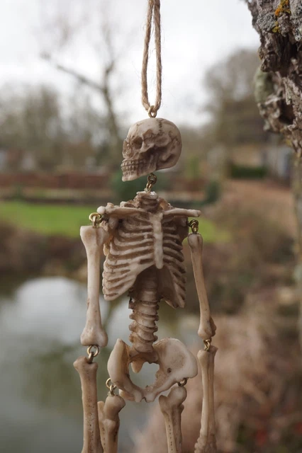 Cendrier - Tête de Mort sans Haut de tête Figurine Gothique Déco Crâne