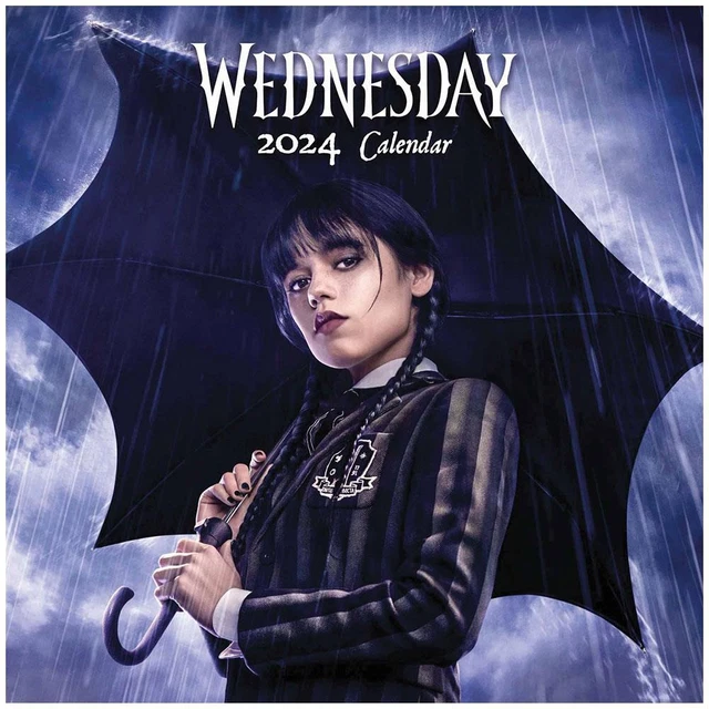 WEDNESDAY SQUARE CALENDAR 2024 Wall Planner Diary Gift 22.98 PicClick