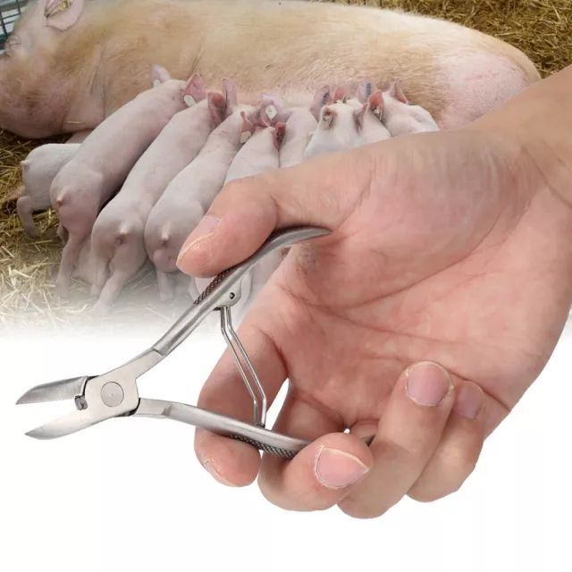 Stainless Steel Teeth Cutter Scissor For Dog Piglet Clipper Forceps With Pig Mnj