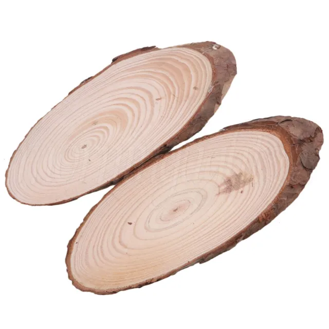 2cm-3cm Natural Wood Log Slices Tree Bark Wooden Circles Set of