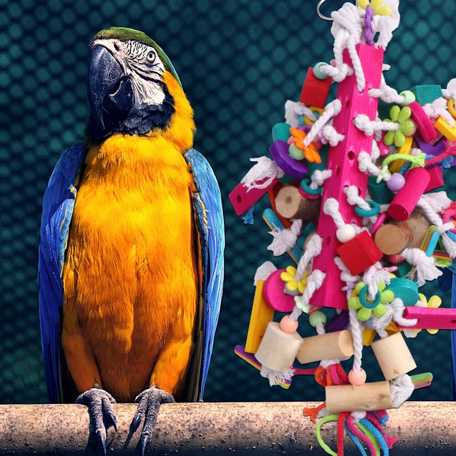 bird block knots 2x Vogel Block Knoten Ara Blöcke Budgie Kauen Spielzeug Papagei 9