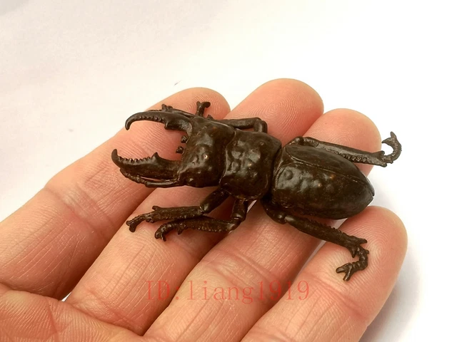 Decoration Collection Chinese Bronze Carving Lovely Beetle figurine Statue gift