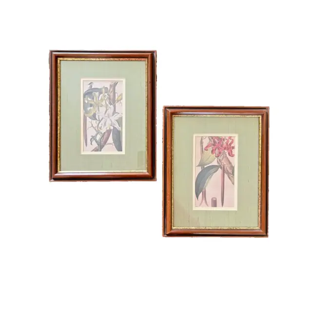 Tropical Floral Prints West Indian Vintage Framed And Matted In Italy Set Of 2