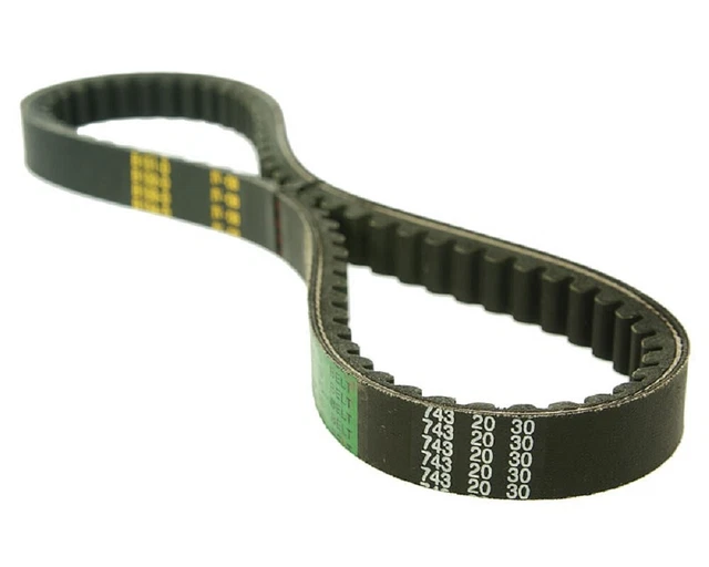 Courroie trapézoïdale Rivello Standard 743x20x30mm Flex-Tech Firenze, Athena, Cr