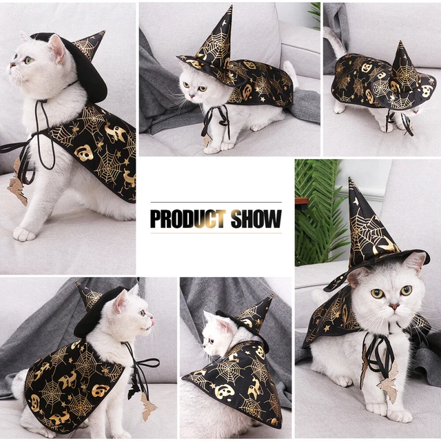 Set costume Halloween Cane Gatto Cappello Strega Cappelli Hooey regalo per animali domestici 3