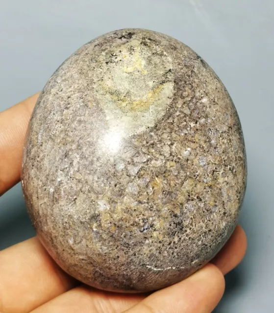 Polished dinosaur bone petrified agatized specimen Gem Stone Sphere Palm Healing