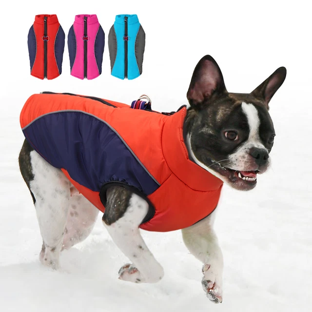 Cappotto impermeabile per cani Invernale Imbottito Gilet Abbigliamento Giacca