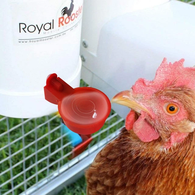 Dine A Chook Lubing Chicken Drinker-Cup-Poultry -Waterer-Nipple-Drinker Feeder