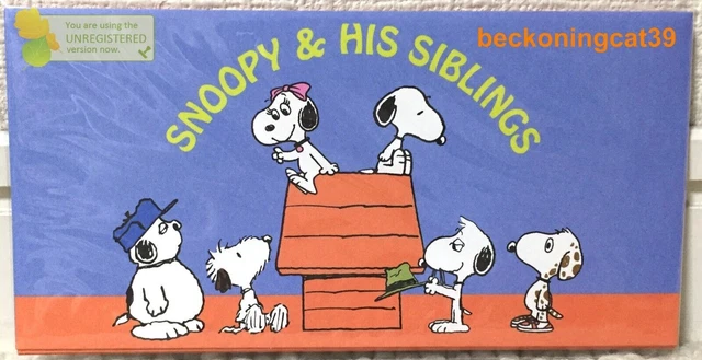 Sun-Star Peanuts Money Envelope 3 Snoopy et ses frères et sœurs Cadeau 2023...
