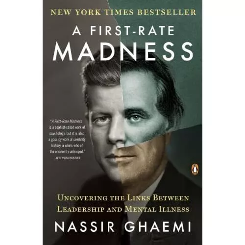 A First-Rate Madness: Uncovering the Links Between Lead - Paperback NEW Ghaemi,