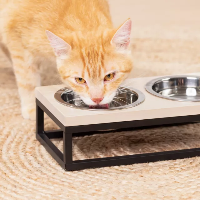 Double Gamelle Inox pour Chien et Chat avec Support en Bois de Chêne 2