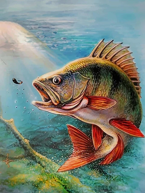 Goofong Diamond Painting Erwachsene Fisch, DIY 5D Diamant Painting Bilder