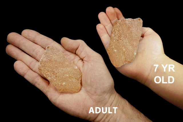 COPAL AMBER 3" Mineral Specimen Solar Plexus Chakra Healing Crystals Stones