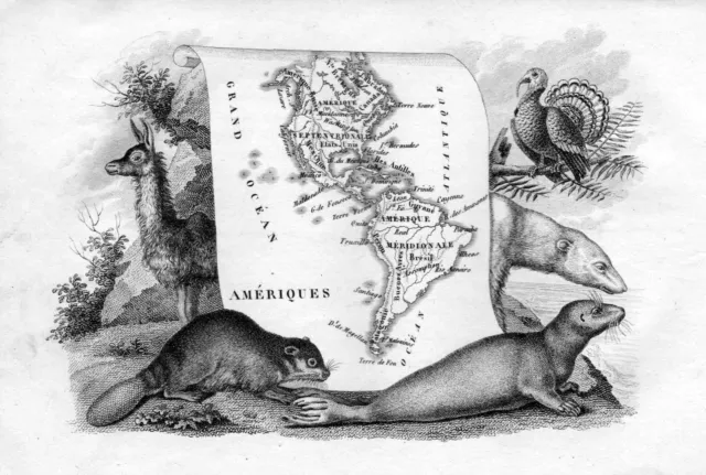 ca. 1800 Amerika America South North continent animals Kupferstich engraving