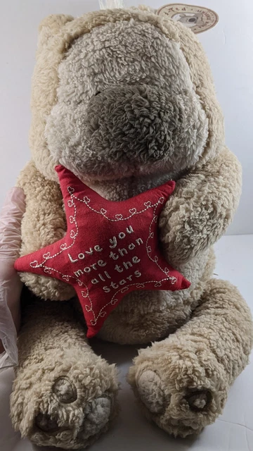 TEDMUND TED LOVE You More Than All The Stars Bear Soft Toy 16 w Tag 12.49 PicClick UK