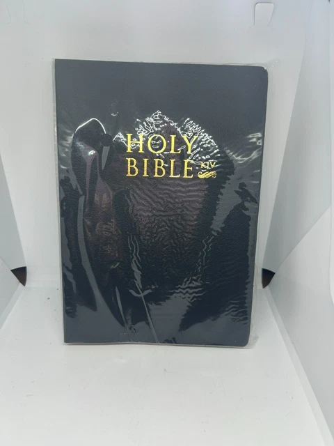 NEW THE HOLY Bible King James Version Old + New Testament, Black Cover ...