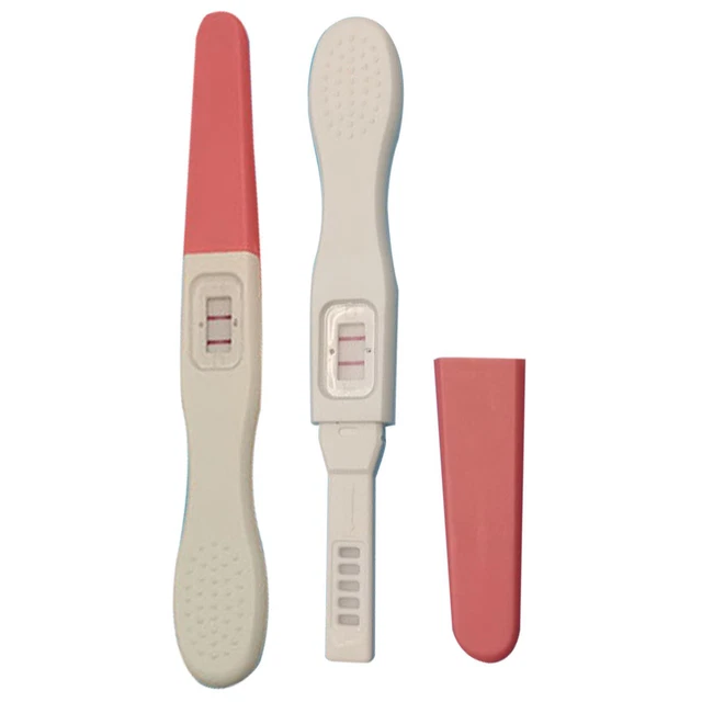 Fake Test Positive Positive Test Practical Joke Pregancy Test Kit