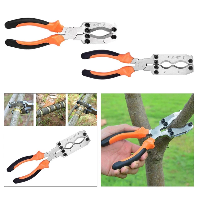 Outil Désépineur Roses - 2 Embouts Silicone + Pince Métal Pour Jardinage