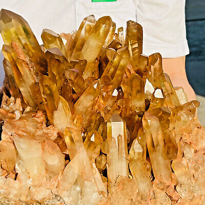 22LB  Natural Citrine cluster mineral specimen quartz crystal healing  AS700