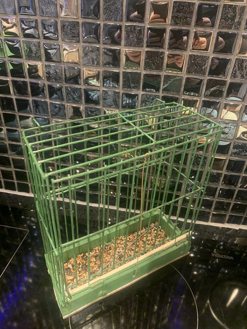 Jaula única trampa para pájaros para aves pequeñas fugitivas o aviarias.