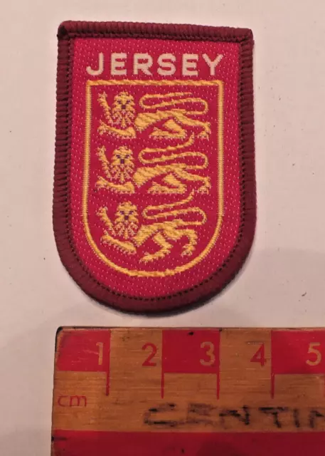 Vintage Boy Scouts Jersey District County Area Badge (V)