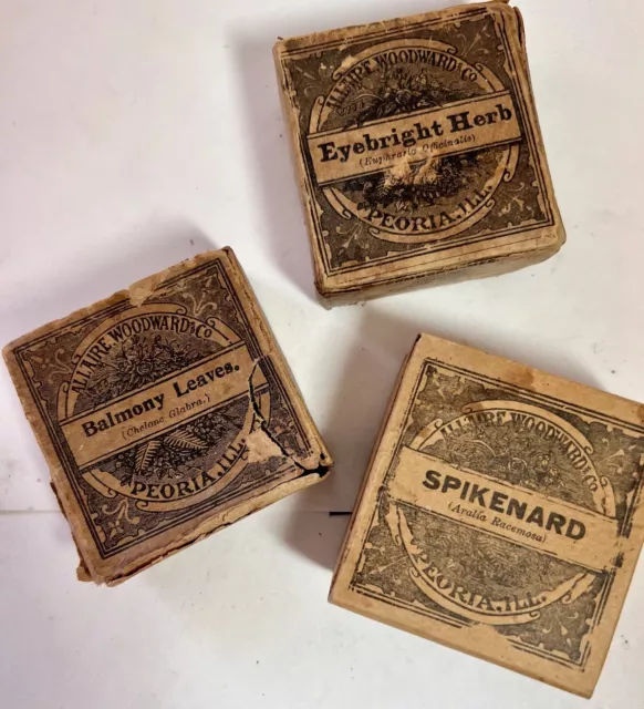 Antique Apothecary Herb Boxes Allaire Woodward Set 3 Spikenard Eyebright Balmony