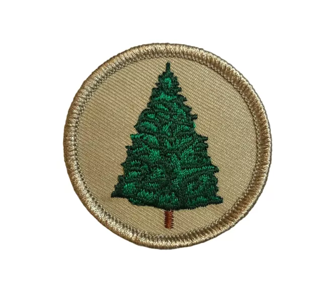 BSA Licensed Boy Scout Pine Tree Patrol 2 Inch Patch AVA BSA F2D29I