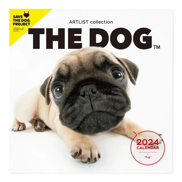 PSL THE DOG 2024 Calendar Large Size (Pug) With Original Sticker 55.99