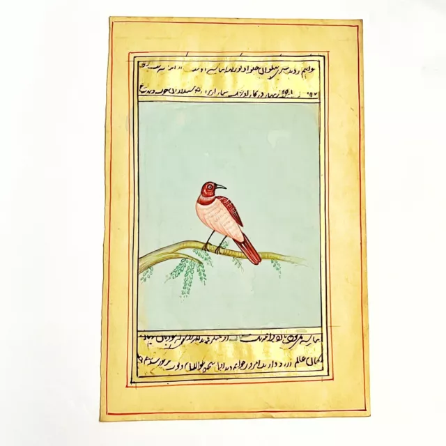 Middle Eastern Artwork Painting Of A Bird On Antique Urdu Book Leaf Decor — C
