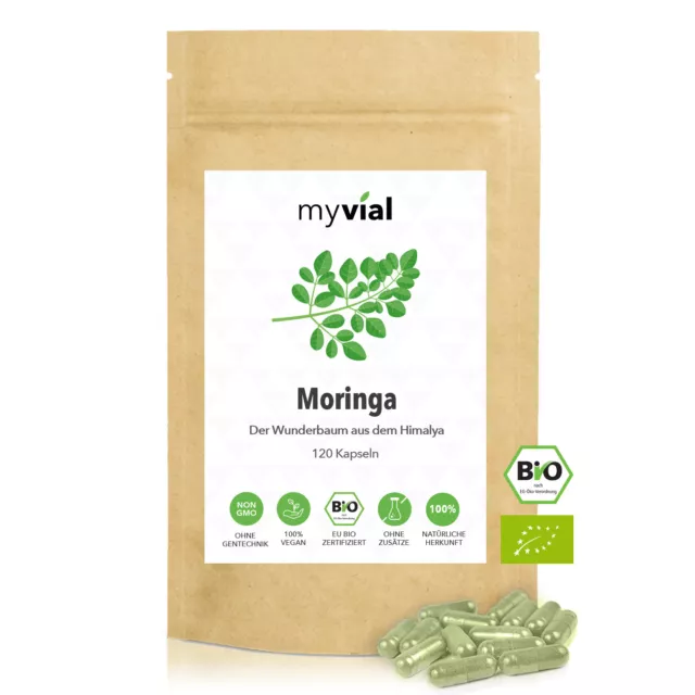 Moringa Bio Veganes Proteinpulver Ernährung Kapseln 120 Stück 40 Tage Vorrat 400