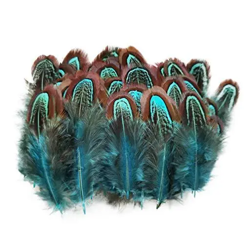 50 Pcs Natural Pheasant Plumage Feathers 2-3 Inches Plumage Feathers for Sewing