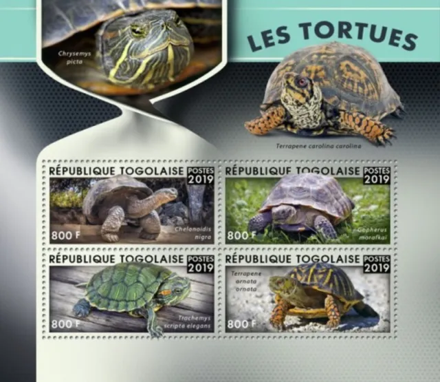 Togo - 2019 Turtles auf Briefmarken - 4 Briefmarke Blatt - TG190127a