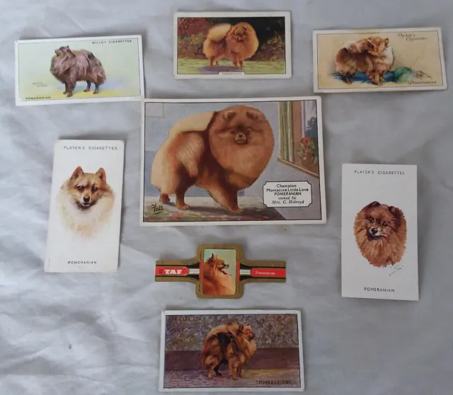 CHOW CHOW DOG VINTAGE CIGARETTE & TRADE CARDS & CIGAR BAND 8 pieces