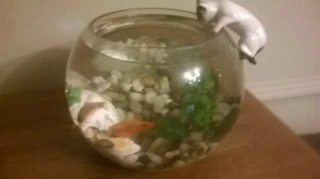 ""L@@K"" UNUSUAL GOLDFISH BOWL ORNAMENT  see photos ** FREE UK P&P **