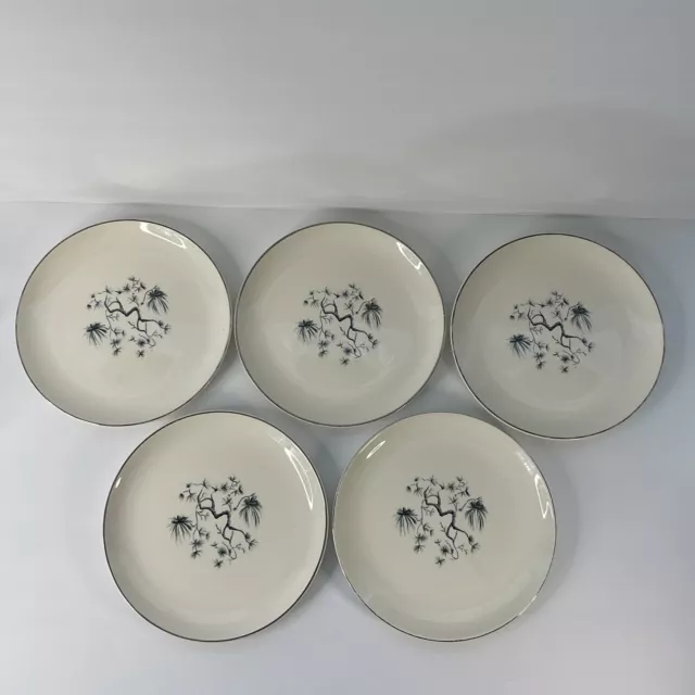 13 Pieces Taylor Smith & Taylor Dwarf Pine Cream 5 Salad Plates 8 Saucers 1950s 2